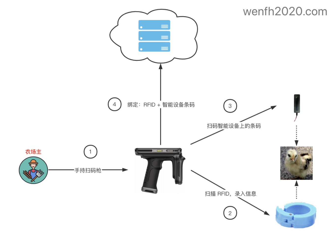 动物入场